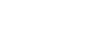 NetSuite logo